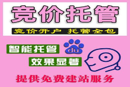百度推广运营案例解析：如何实现精准营销